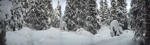 #1: Panorama view from the confluence (about 140 degrees)