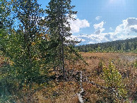 #2: Osten; view east