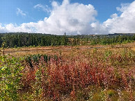 #3: Süden; view south
