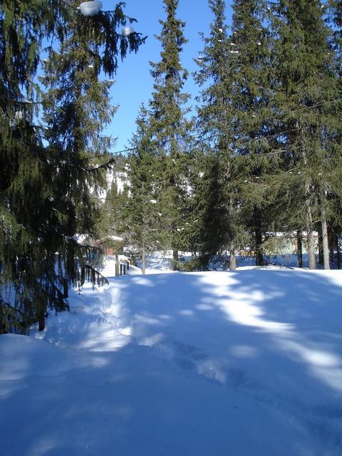 North