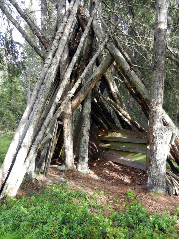 Wood pile stacked within a couple of meters from the point