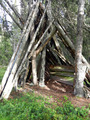 #2: Wood pile stacked within a couple of meters from the point