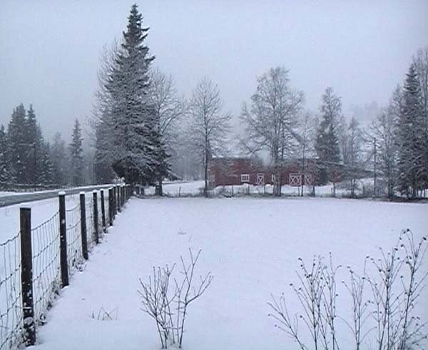 N61E10 is in front of the fence lined up with the barn's leftmost window