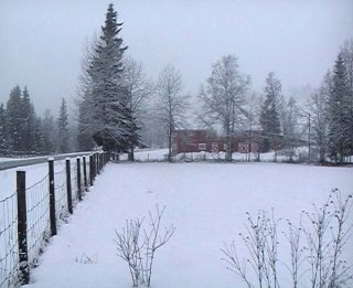 #1: N61E10 is in front of the fence lined up with the barn's leftmost window