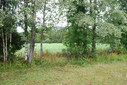 #2: View to north