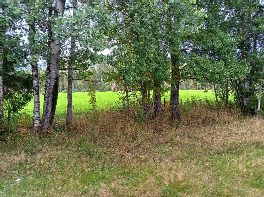 #1: Norden; view north