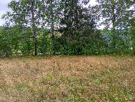 #3: Süden; view south