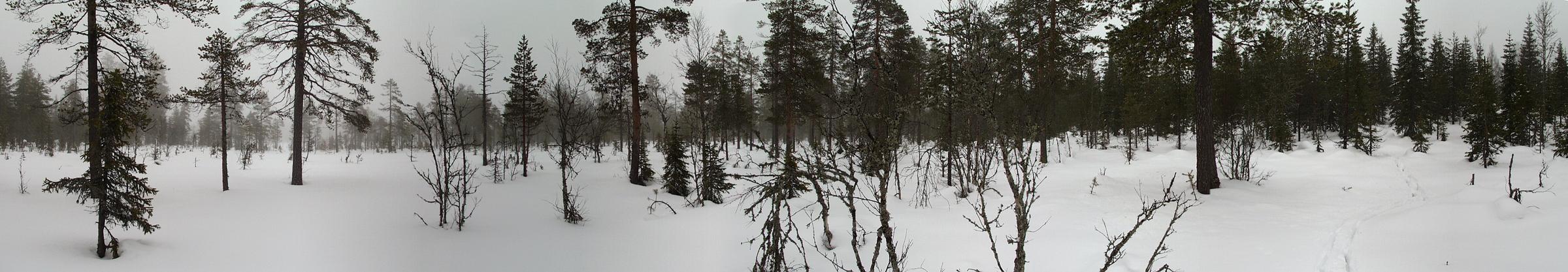 Panorama from marsh close to confluence