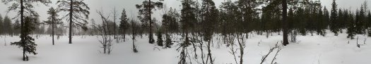 #1: Panorama from marsh close to confluence