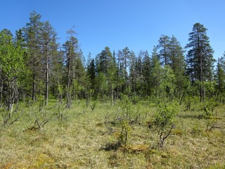 #1: The Confluence from 40 m distance