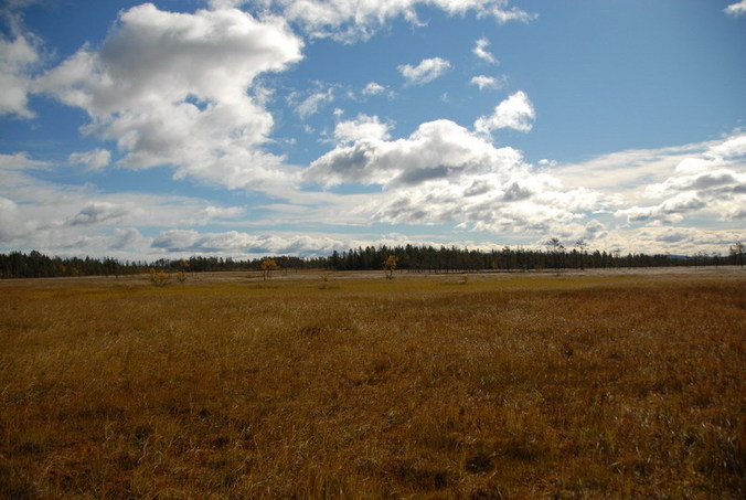 View north / Blick nach Norden