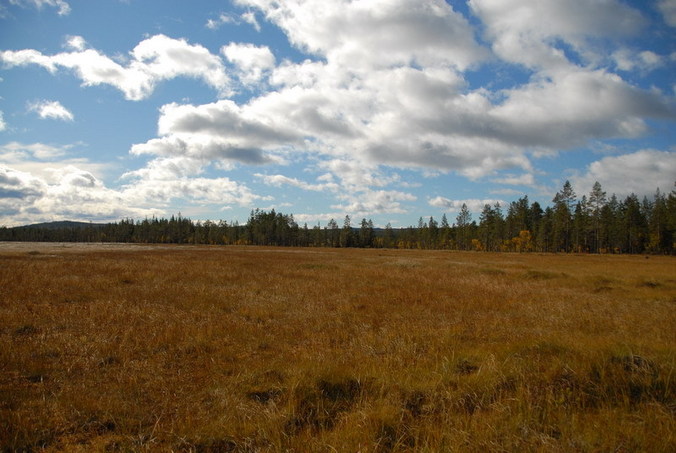 View east / Blick nach Osten