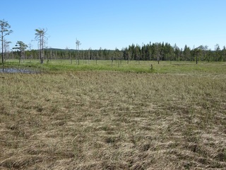 #1: The Confluence from 10 m distance