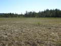 #3: View to the West