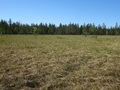 #4: View to the North