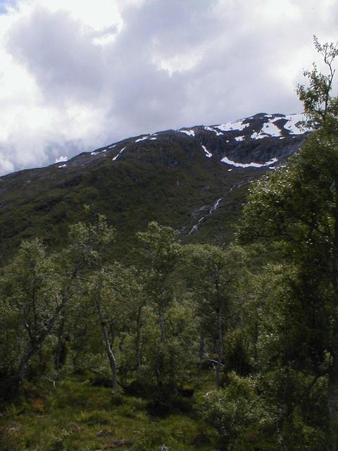 View towards the confluence, looking south. The confluence is in the middle of the picture.