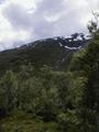 #3: View towards the confluence, looking south. The confluence is in the middle of the picture.