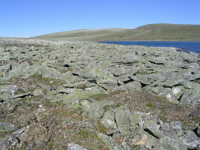 The area north of the confluence point