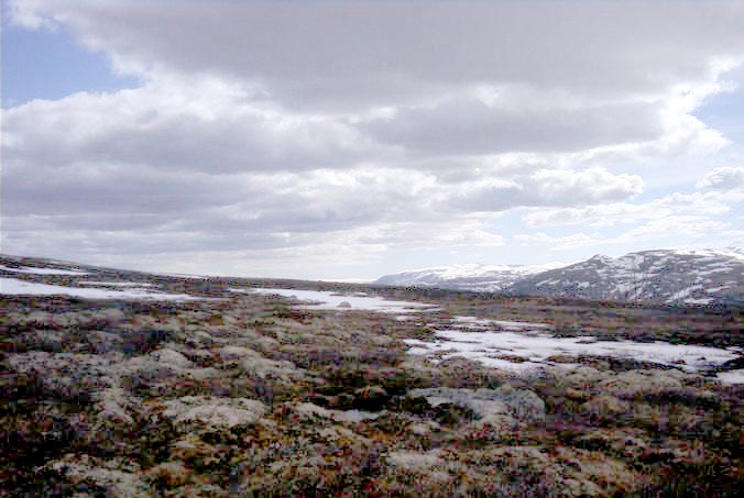 The area of the confluence