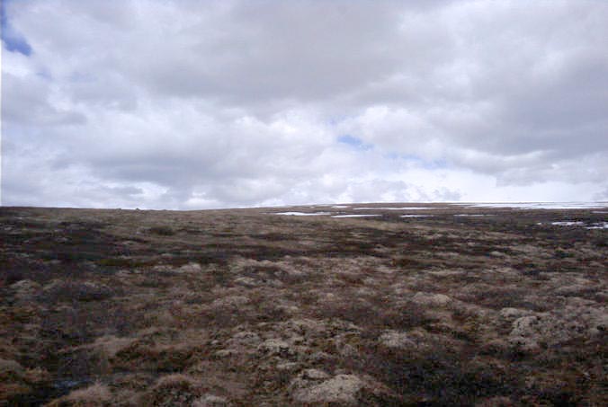 Looking east to the top of Oksli 1326 mtrs.