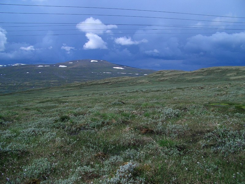 Confluence point