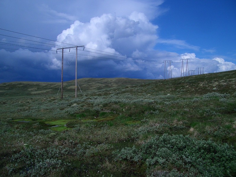 View North