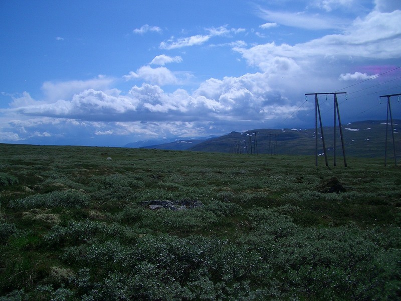 View South