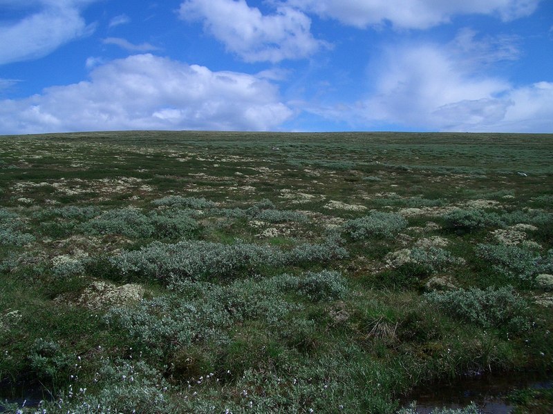 View East