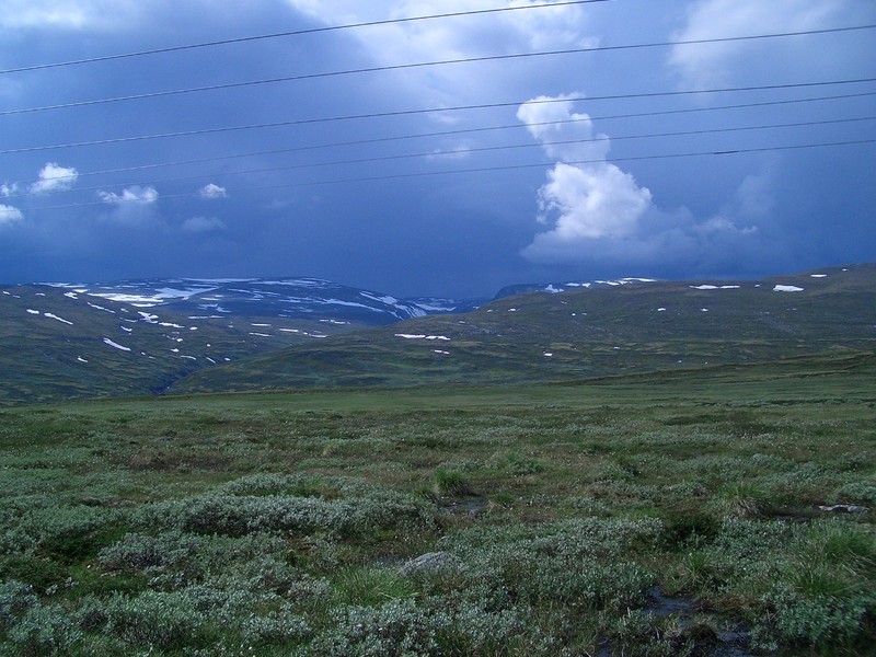 View West