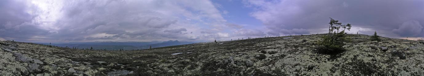 Panoramic view from the confluence