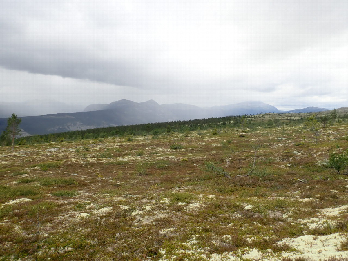 West view - Westliche Sicht