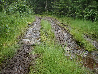 #7: Bad Forestway to the Point - Schlechter Waldweg zum Punkt