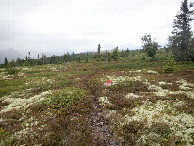 #9: Trailway in the near from the Point - Höhenwanderweg in der Nähe des Punktes