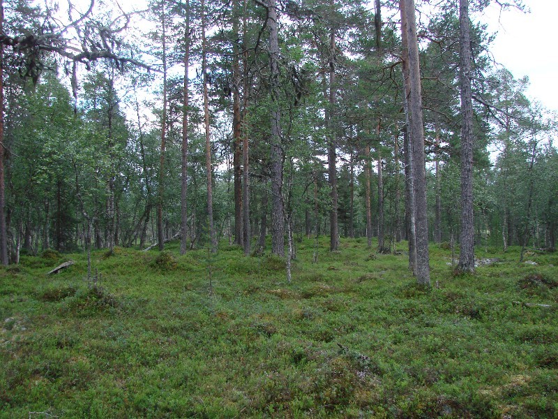 East view / Östliche Sicht