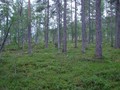 #4: West view / Westliche Sicht