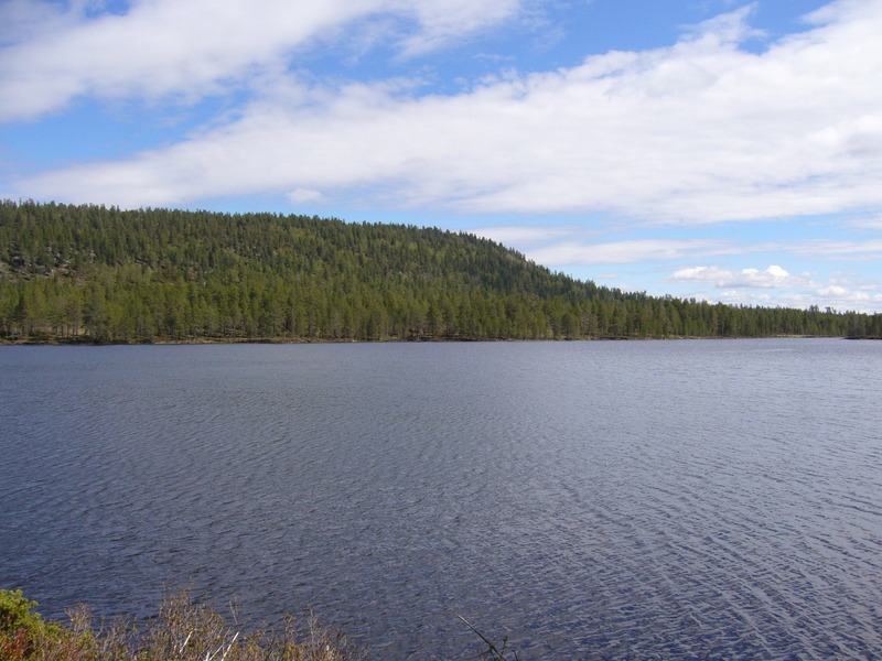 View to the point in the woods across Tolgesjøen in 880 metres distance