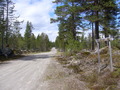 #7: Leave the main road and follow this "Tolgevollen" forest road