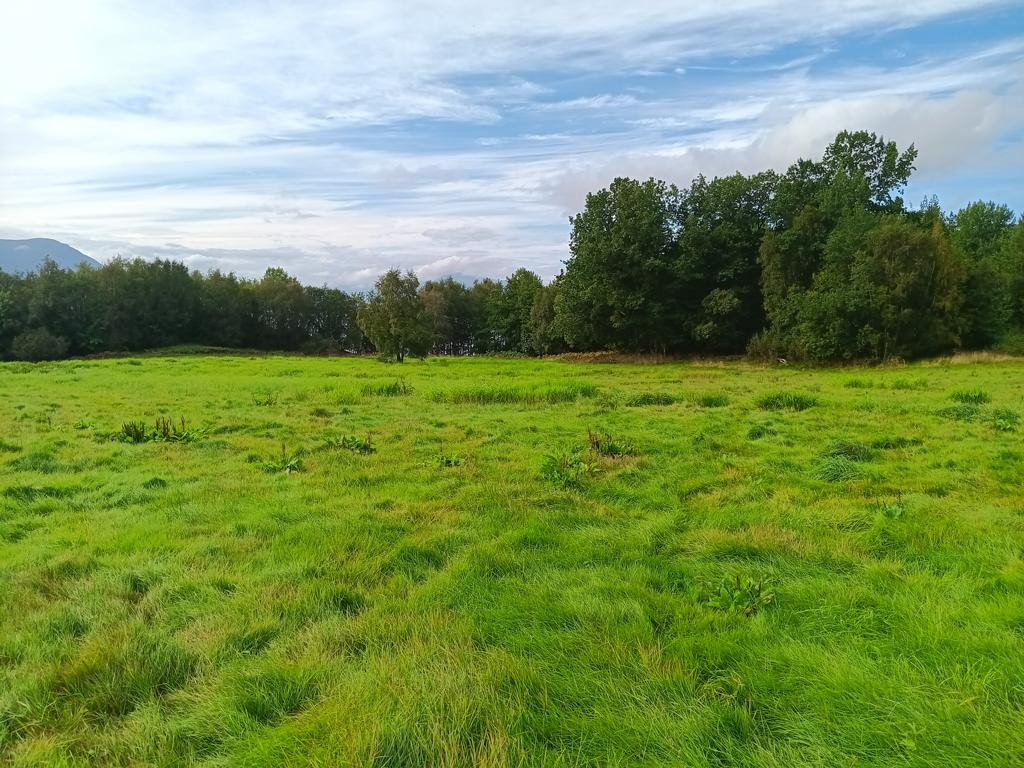 at half way; towards CP