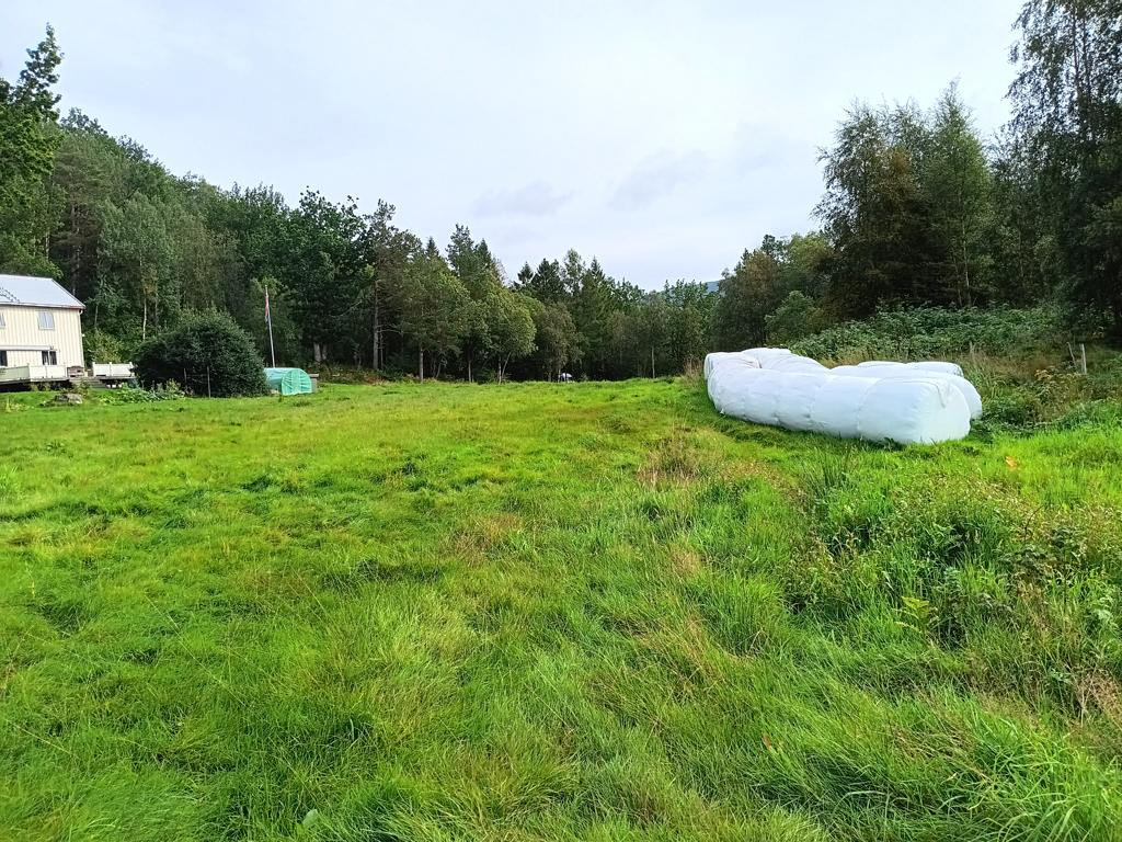 at half way, towards parking