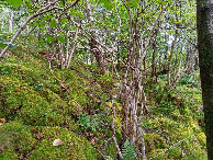 #2: Osten; view east