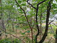 #3: Süden; view south