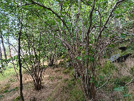 #4: Westen; view west