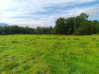 #8: at half way; towards CP