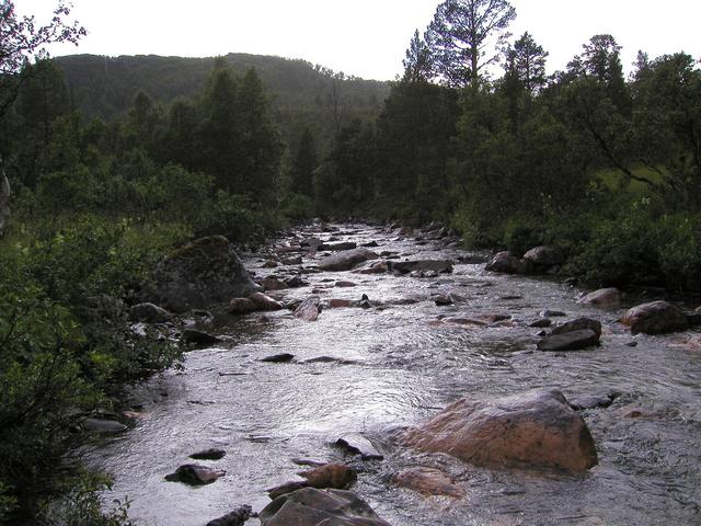 Fording the river just before the confluence