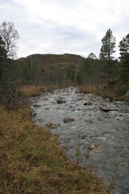 river 50m west of the confluence