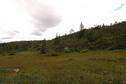 #4: view south