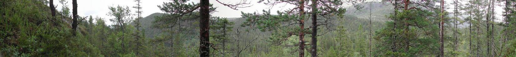 Panorama from the confluence (it was very steep)