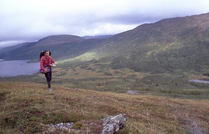 CP-hunter, lake Ovrejarvrie (Orvatnet) and Børgefjell national park in the background