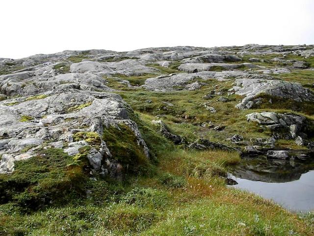 Confluence point as seen from 28 m north of it