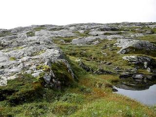 #1: Confluence point as seen from 28 m north of it